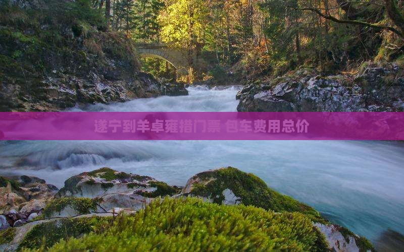 遂宁到羊卓雍措门票+包车费用总价