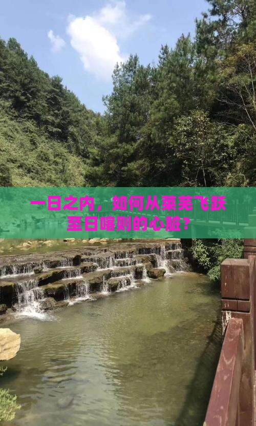 一日之内，如何从莱芜飞跃至日喀则的心脏？