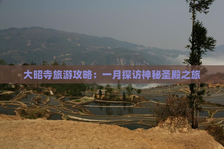 大昭寺旅游攻略：一月探访神秘圣殿之旅