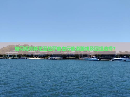 如何规划林芝至拉萨自由行旅游路线及团组选择？