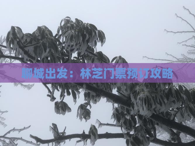 聊城出发：林芝门票预订攻略