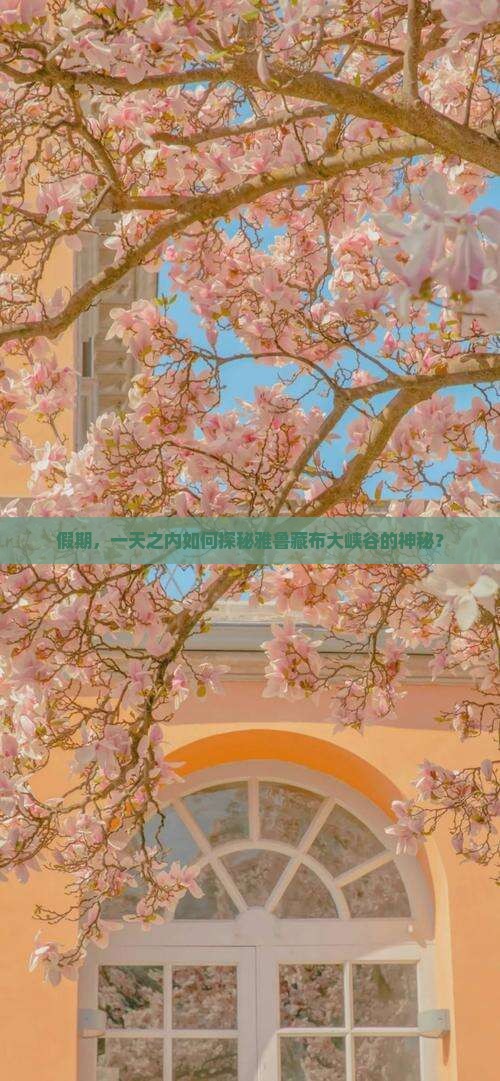 假期，一天之内如何探秘雅鲁藏布大峡谷的神秘？