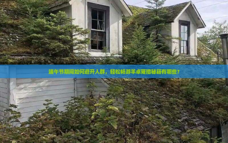 端午节期间如何避开人群，轻松畅游羊卓雍措秘籍有哪些？