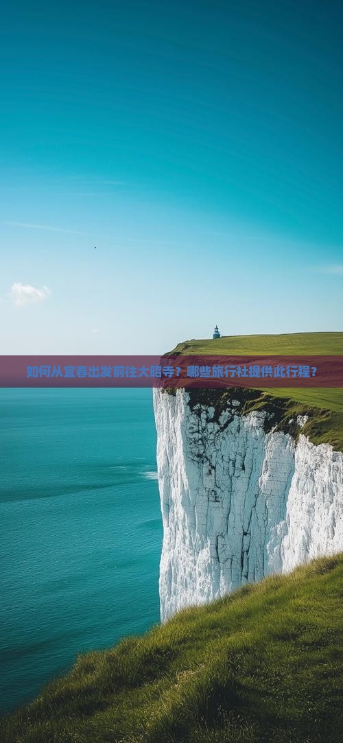 如何从宜春出发前往大昭寺？哪些旅行社提供此行程？