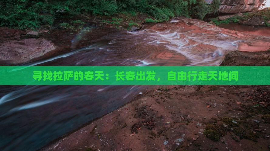 寻找拉萨的春天：长春出发，自由行走天地间