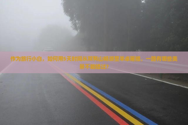 作为旅行小白，如何用5天时间从双鸭山畅游至羊卓雍措，一路有哪些美景不能错过？