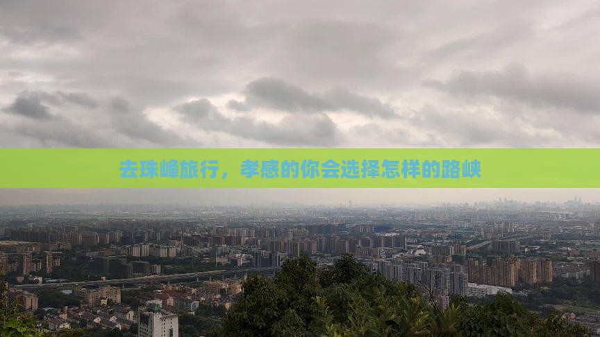 去珠峰旅行，孝感的你会选择怎样的路峡