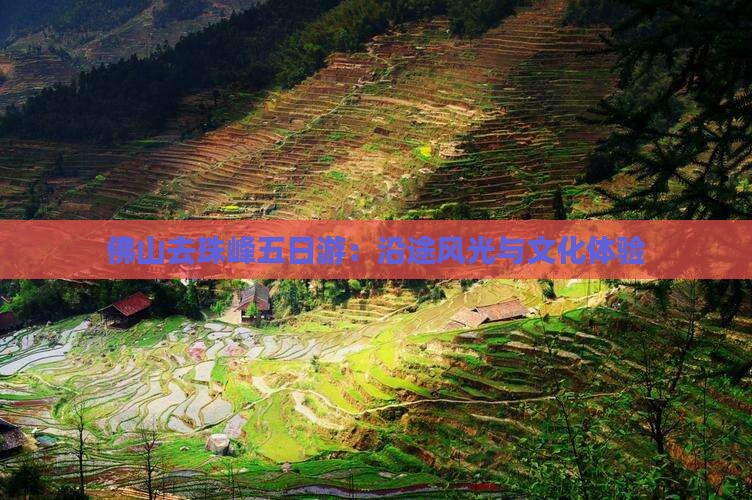 佛山去珠峰五日游：沿途风光与文化体验