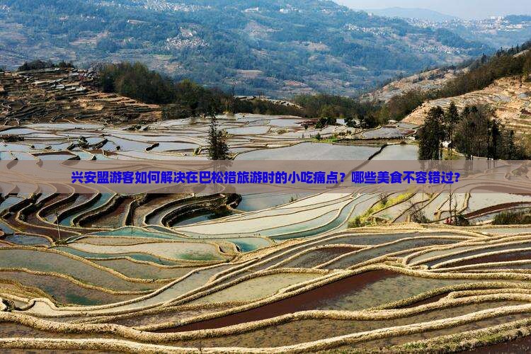 兴安盟游客如何解决在巴松措旅游时的小吃痛点？哪些美食不容错过？