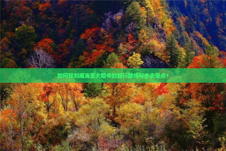 如何规划威海至大昭寺的旅行路线与必去景点？