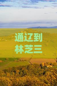 通辽到林芝三日游