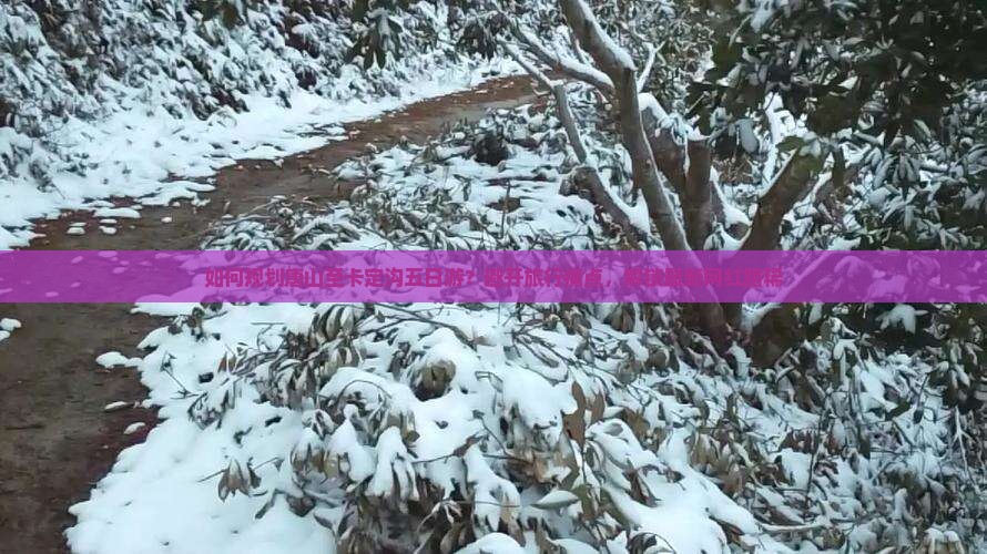 如何规划唐山至卡定沟五日游？避开旅行痛点，解锁最新网红路稀