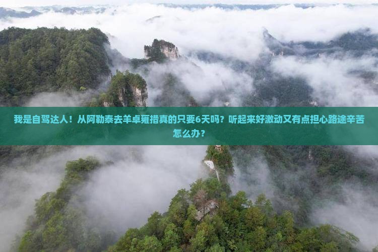 我是自驾达人！从阿勒泰去羊卓雍措真的只要6天吗？听起来好激动又有点担心路途辛苦怎么办？
