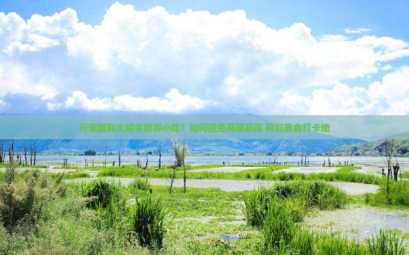 兴安盟到大昭寺旅游小吃？如何避免高原反应+网红美食打卡地
