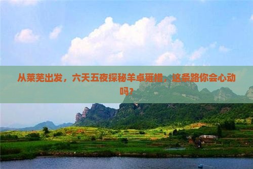 从莱芜出发，六天五夜探秘羊卓雍措，这条路你会心动吗？
