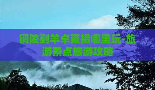 铜陵到羊卓雍措哪里玩-旅游景点旅游攻略