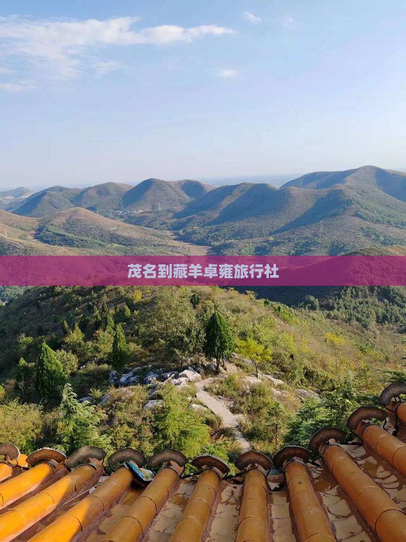 茂名到藏羊卓雍旅行社