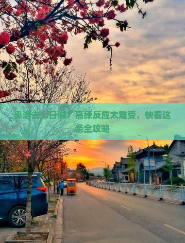 果洛去七日游？高原反应太难受，快看这条全攻略