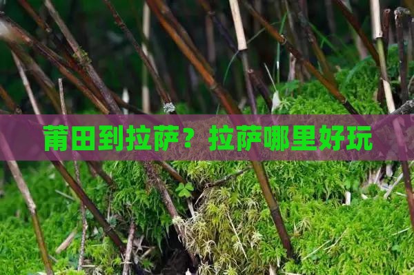 莆田到拉萨？拉萨哪里好玩