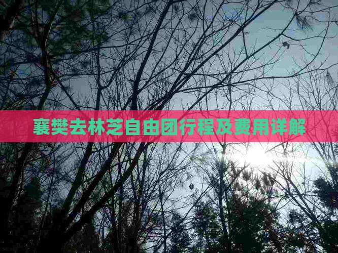 襄樊去林芝自由团行程及费用详解