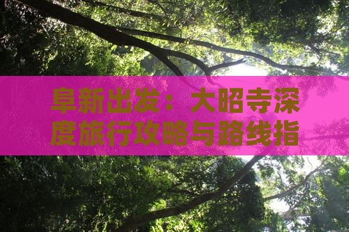 阜新出发：大昭寺深度旅行攻略与路线指南
