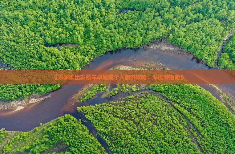 《五家渠出发藏羊卓雍湖个人旅游攻略:深度游指南》 《五家渠出发藏羊卓雍湖个人旅游攻略:深度游指南》