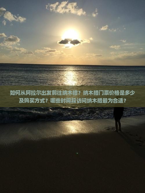 如何从阿拉尔出发前往纳木措？纳木措门票价格是多少及购买方式？哪些时间段访问纳木措最为合适？