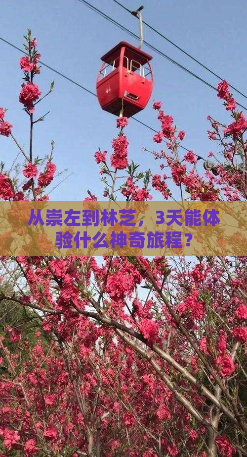 从崇左到林芝，3天能体验什么神奇旅程？