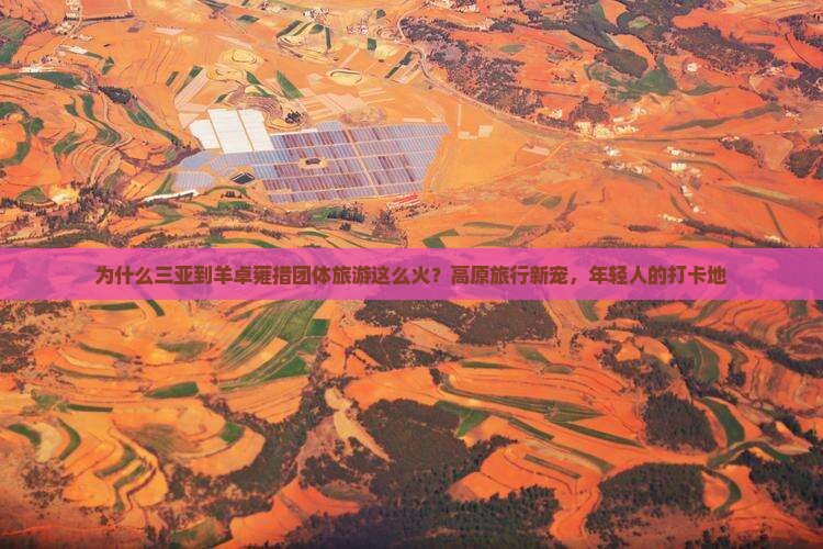 为什么三亚到羊卓雍措团体旅游这么火？高原旅行新宠，年轻人的打卡地
