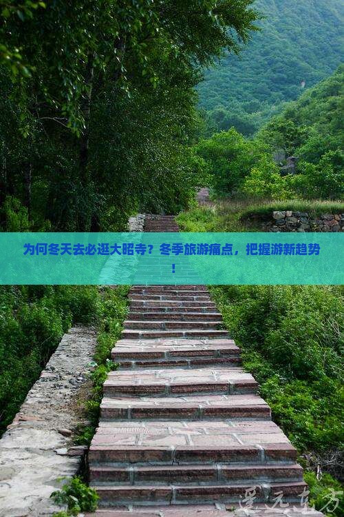 为何冬天去必逛大昭寺？冬季旅游痛点，把握游新趋势！