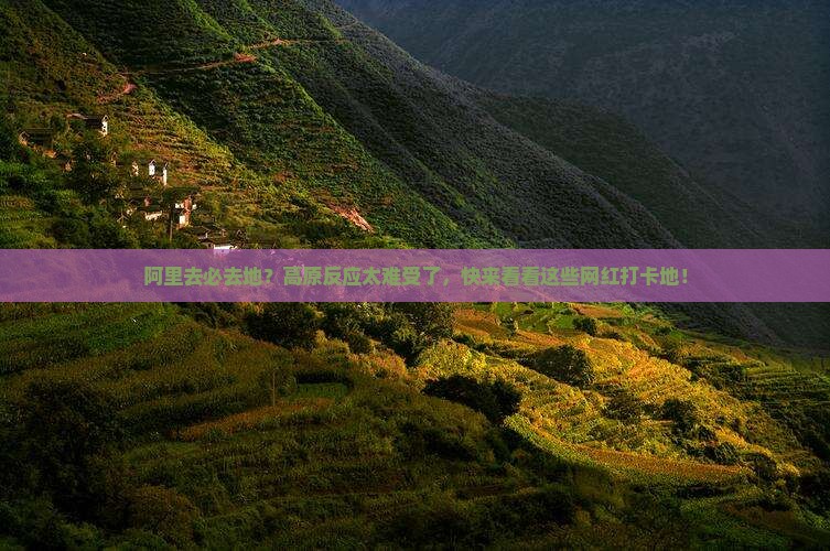 阿里去必去地？高原反应太难受了，快来看看这些网红打卡地！