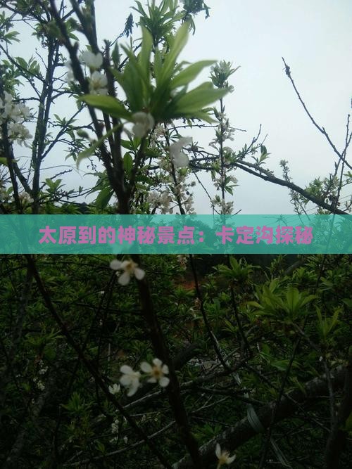 太原到的神秘景点：卡定沟探秘