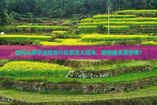 如何从南平选择旅行社前往大昭寺，哪些痛点需警惕？