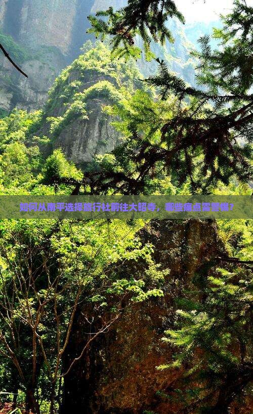 如何从南平选择旅行社前往大昭寺，哪些痛点需警惕？