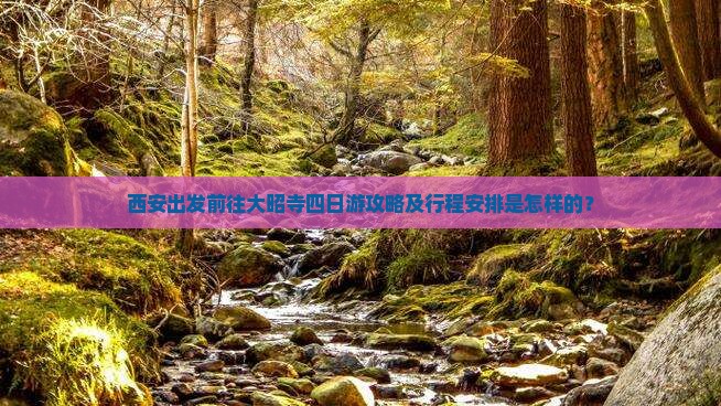 西安出发前往大昭寺四日游攻略及行程安排是怎样的？