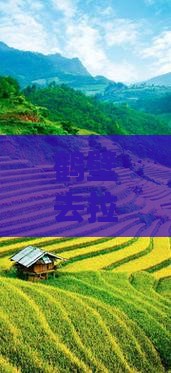 鹤壁去拉萨个人游攻略与游览路线指南