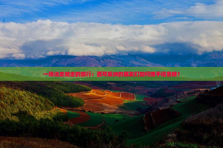 一场说走就走的旅行：西双版纳的朋友们如何携手闯鲁朗？