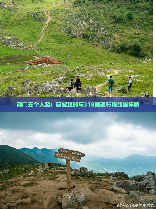 荆门去个人游：自驾攻略与318国道行程距离详解