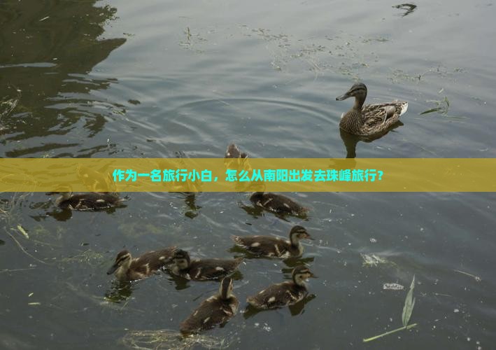 作为一名旅行小白，怎么从南阳出发去珠峰旅行？