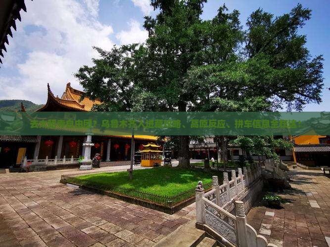去大昭寺自由团？乌鲁木齐人进藏攻略、高原反应、拼车信息全在这！