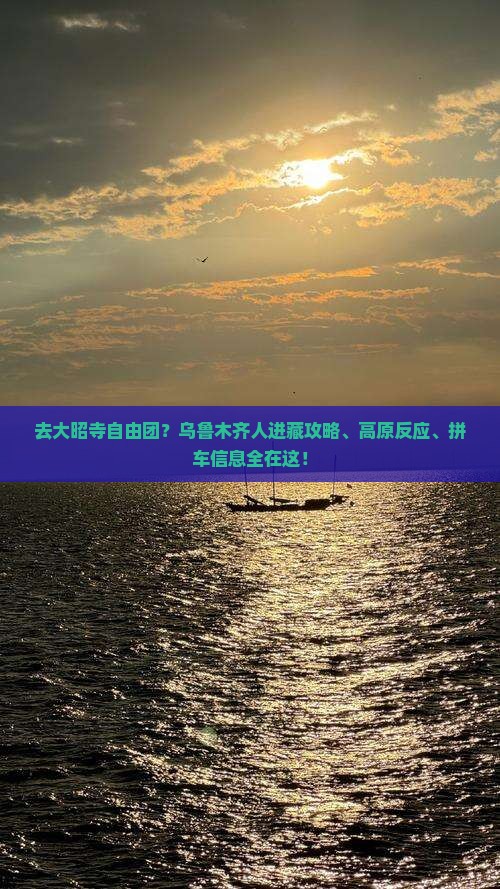 去大昭寺自由团？乌鲁木齐人进藏攻略、高原反应、拼车信息全在这！