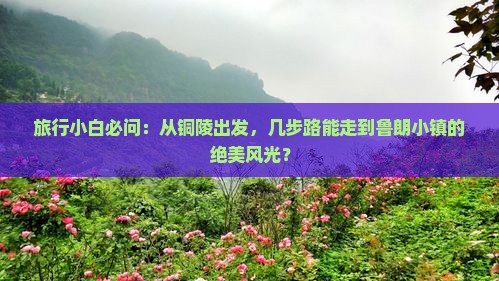 旅行小白必问：从铜陵出发，几步路能走到鲁朗小镇的绝美风光？
