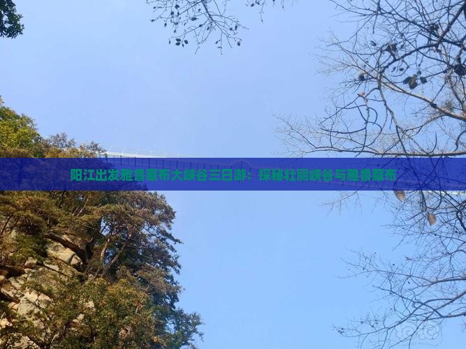 阳江出发雅鲁藏布大峡谷三日游：探秘壮丽峡谷与雅鲁藏布