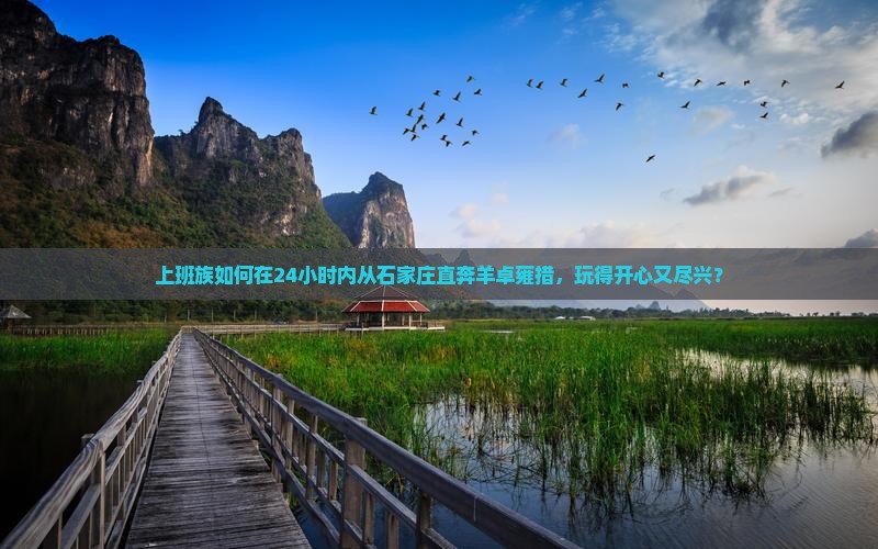 上班族如何在24小时内从石家庄直奔羊卓雍措，玩得开心又尽兴？