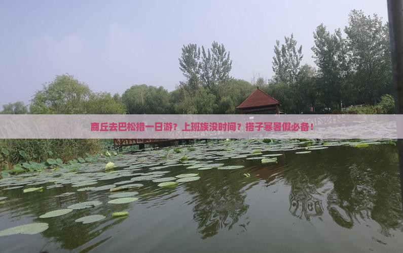 商丘去巴松措一日游？上班族没时间？搭子寒暑假必备！