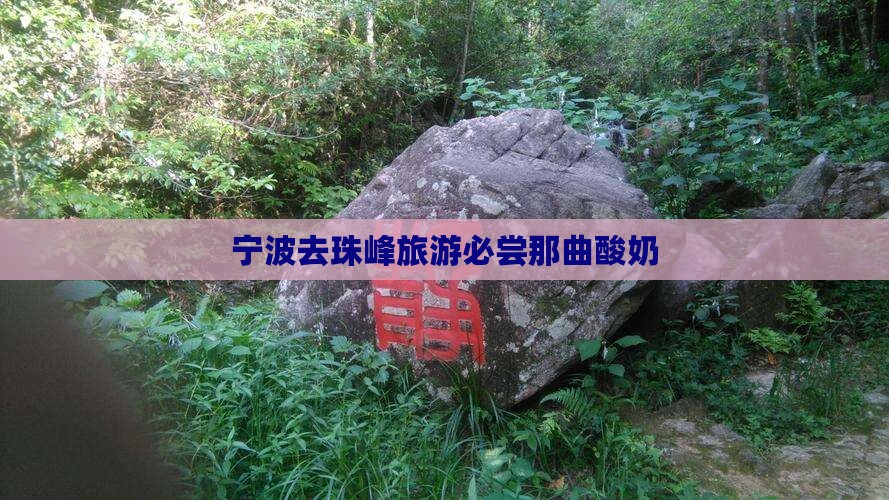 宁波去珠峰旅游必尝那曲酸奶
