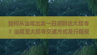 如何从汕尾出发一日游到达大昭寺？汕尾至大昭寺交通方式及行程规划详解