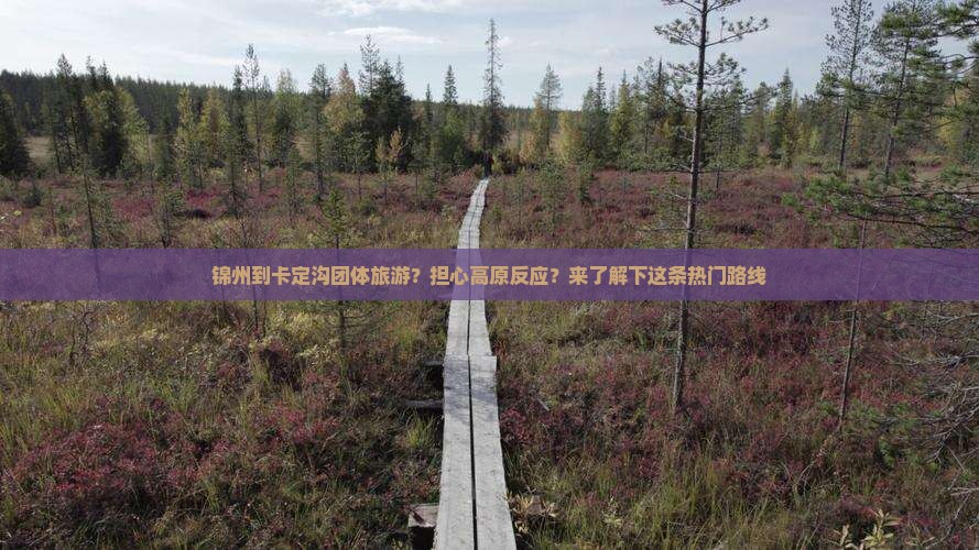 锦州到卡定沟团体旅游？担心高原反应？来了解下这条热门路线