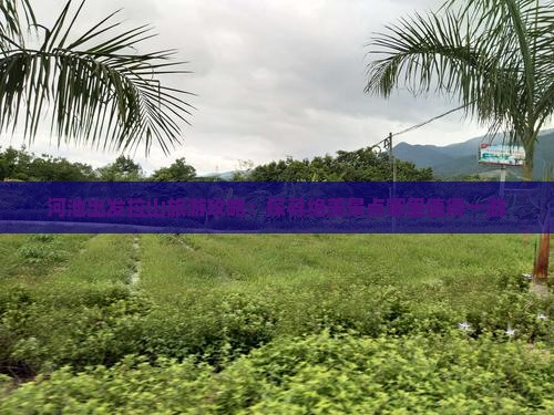 河池出发拉山旅游攻略：探寻绝美景点哪里值得一游