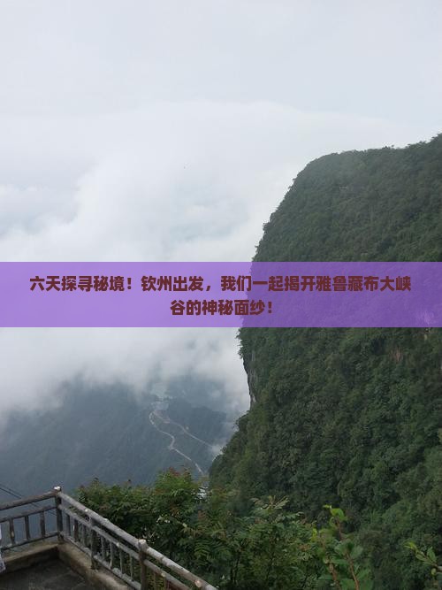 六天探寻秘境！钦州出发，我们一起揭开雅鲁藏布大峡谷的神秘面纱！